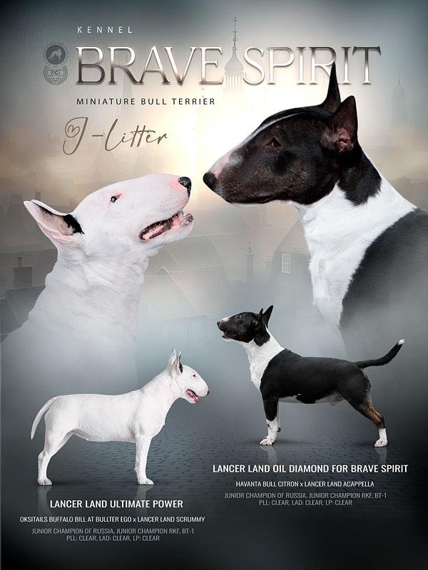 ����� ���������������� �����������